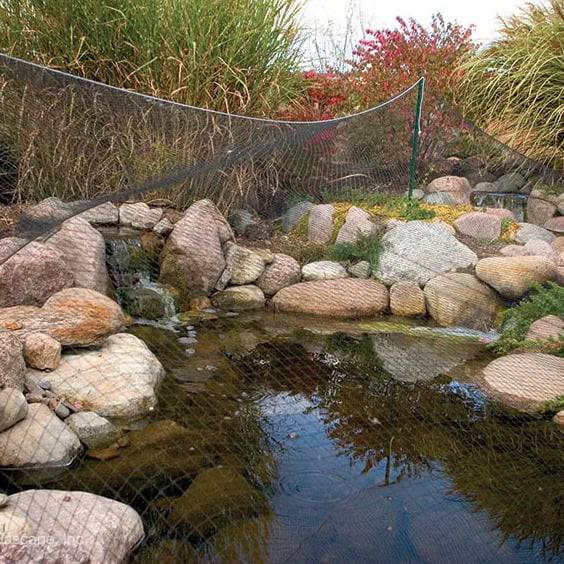 Leaf Netting Over Pond