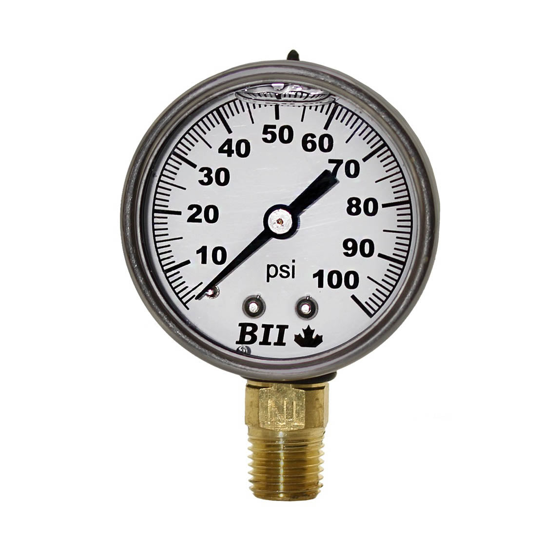 Boshart 2" Pressure Gauge Liquid 1/4x60 No Lead