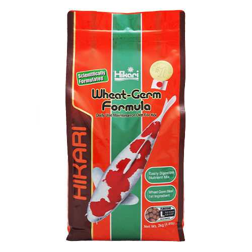 HIKARI WHEAT GERM - Large 4.4lb (2Kg) - Ponds Online