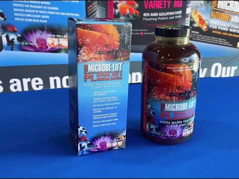 Microbe-Lift PL Live Bacteria - 1 Gallon - Ponds Online