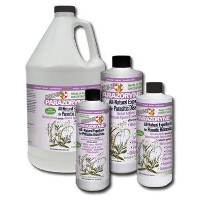 Microbe-Lift Parazoryne anti-parasite solution in a 16 oz bottle, designed for removing parasites from aquatic environments.