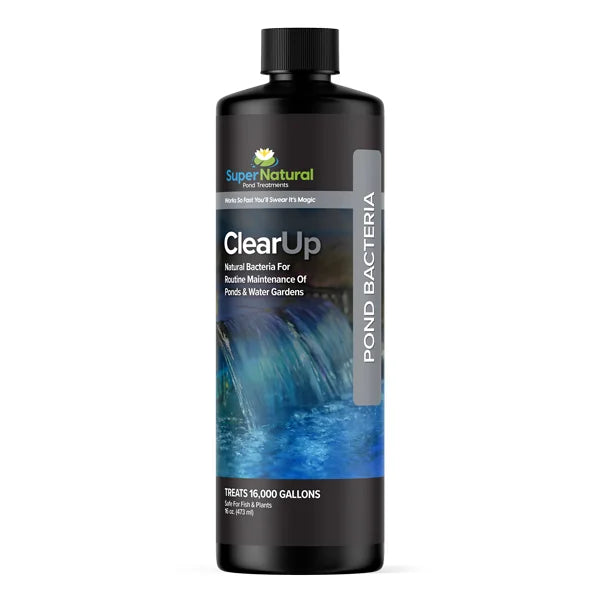 Supernatural Clearup - 16 Oz