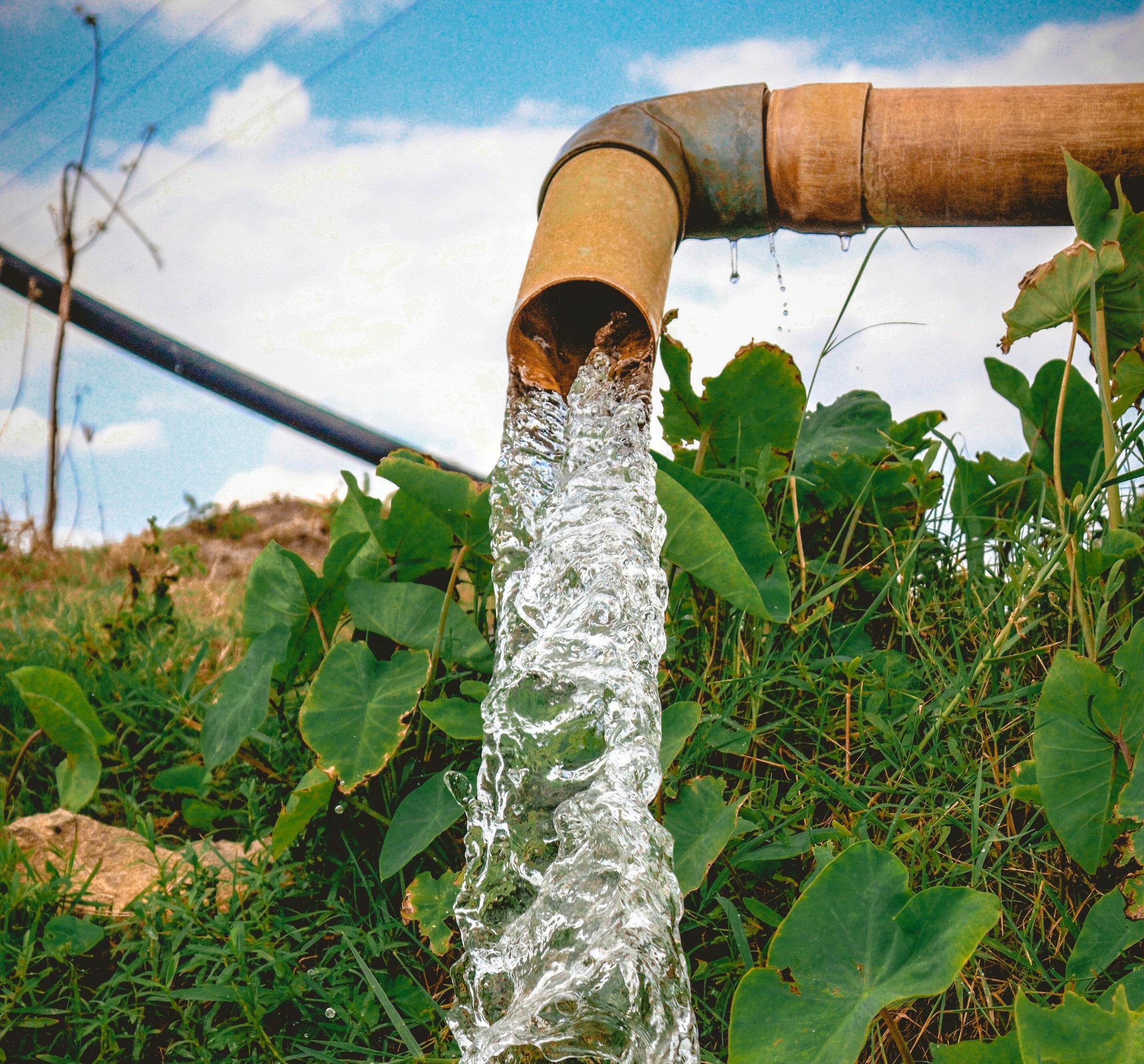 Utility Pumps