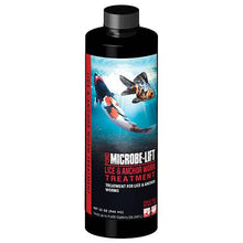 Microbe-Lift Lice & Anchor Worm