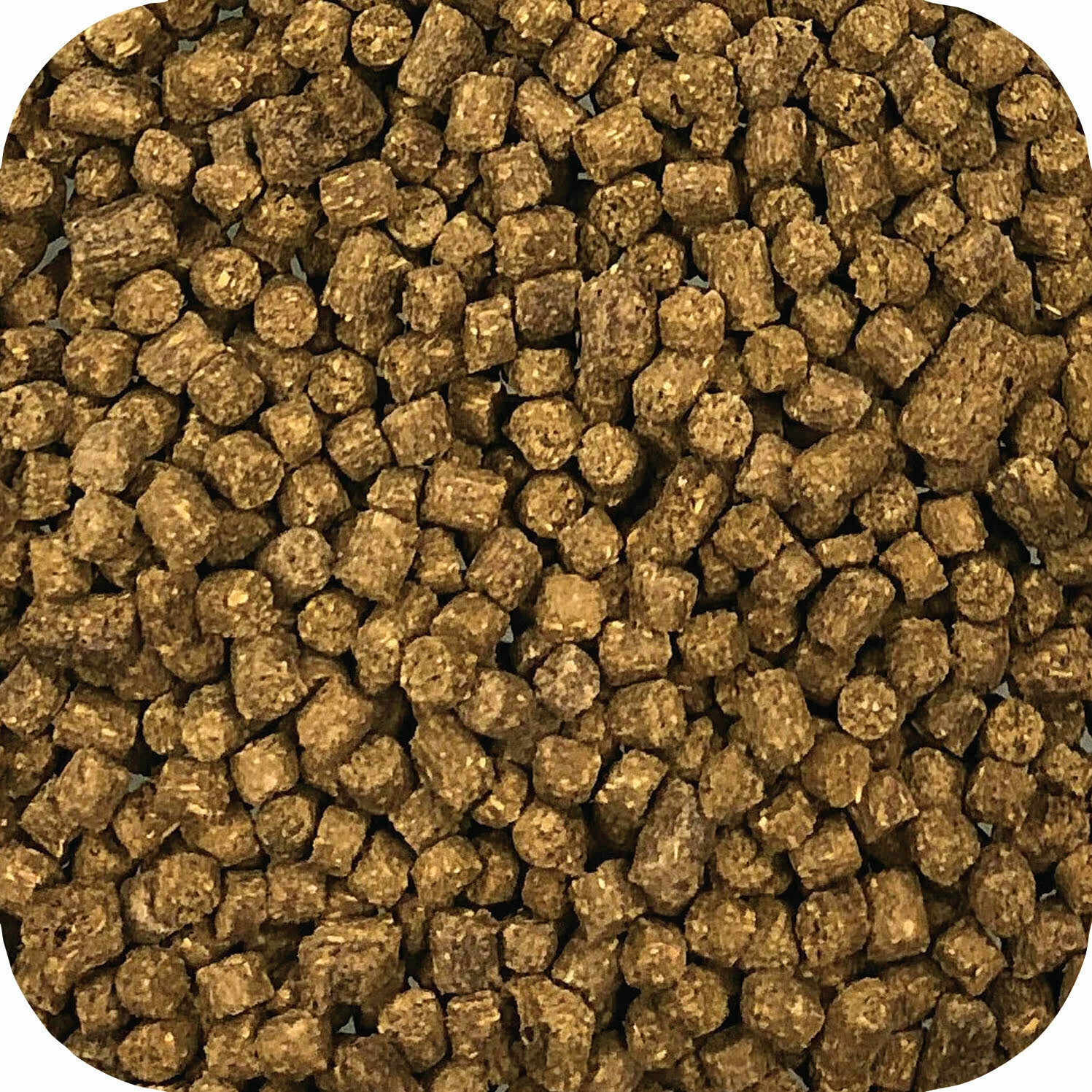 Microbe-Lift sinking fish pellets for aquarium fish, showing various sizes of microbe-lift fish food in a clear container.