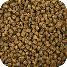 Microbe-Lift sinking fish pellets for aquarium fish, showing various sizes of microbe-lift fish food in a clear container.