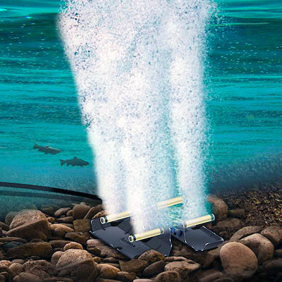 Airmax PondSeries PS40 aeration system with four diffusers, underwater view of the 115V lake aeration unit by Airmax.