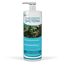 Aquascape Pond Starter Bacteria 32oz bottle, natural pond bacteria for water clarity and biological balance.