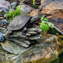 Aquascape Turtle on a Log Spitter, decorative water feature with turtle sculpture on log for pond or aquarium decor.