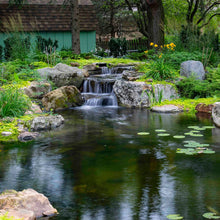 Aquascape large pond kit with adjustable flow pond pump, including pond liner, pump, and accessories for a 21x26-foot pond.