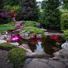 Aquascape Medium Deluxe Pond Kit with Aquasurge 2000-4000 pond pump shown in the image, includes pond liner, pump, and accessories.