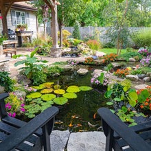 Aquascape Medium Pond Kit 11x16 feet with 3-phase 3000 pond pump, includes pond kit components for water features and pond setup.