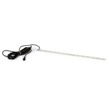 Atlantic Water Gardens pond lighting replacement bulb for CC24, showing a clear glass bulb ideal for pond illumination.