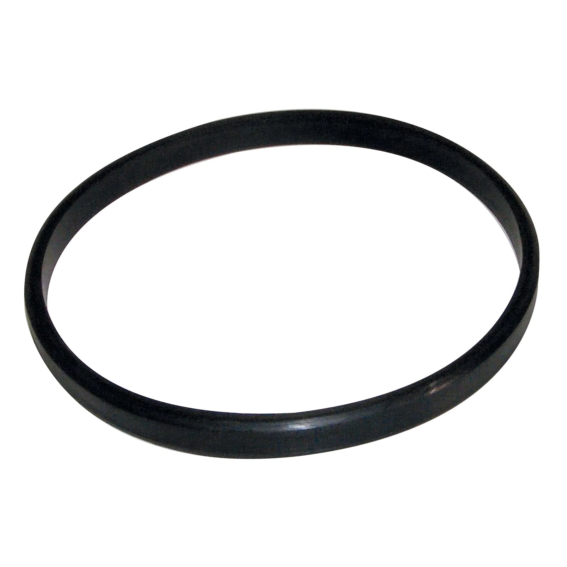 Atlantic Water Gardens Aquaskim 40 clamp gasket replacement part for pond skimmers, with a black rubber gasket and metal clamp.