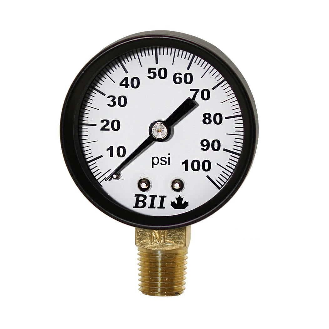 Boshart 2" Dry Gauge 1/4" Lm 0-160