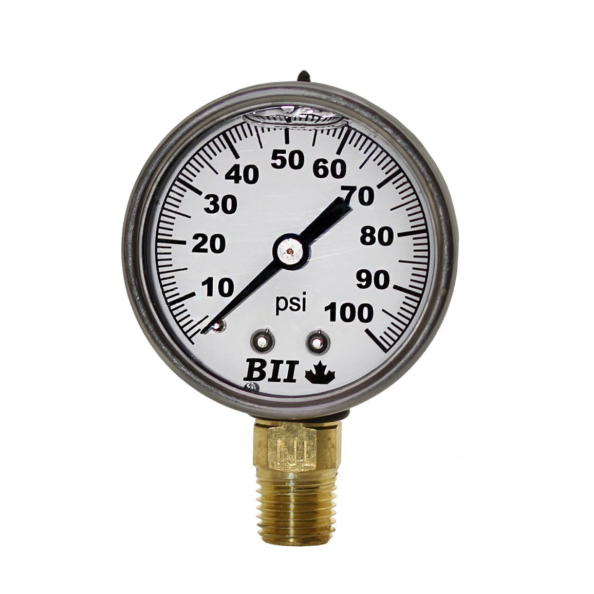 Boshart 2" Pressure Gauge Liquid 1/4x100 No Lead