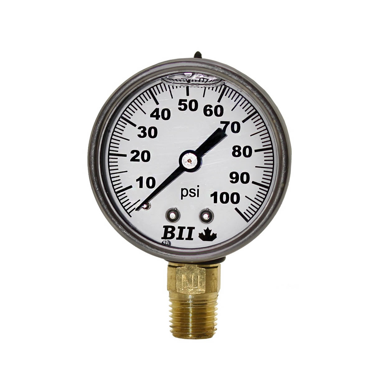 Boshart 2" Pressure Gauge Liquid 1/4x160 No Lead
