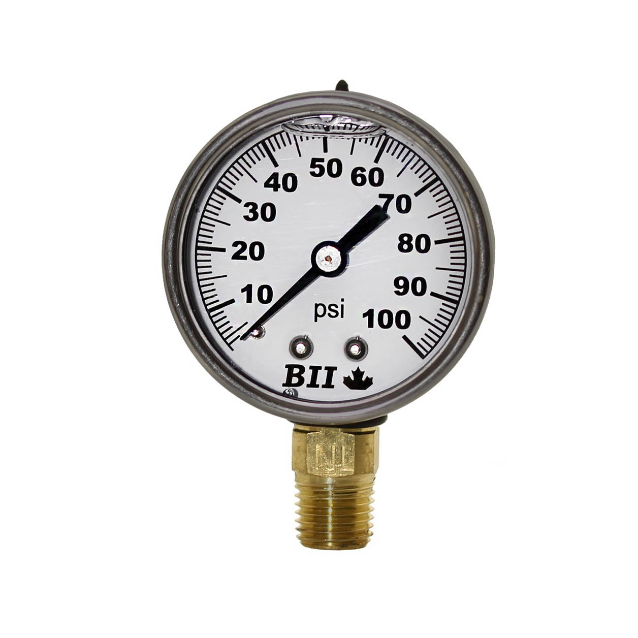 Boshart 2" Pressure Gauge Liquid 1/4x200 No Lead