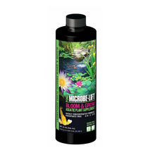 Microbe-Lift Bloom N Grow water treatment gallon, natural microbial supplement for aquatic plant growth and water quality