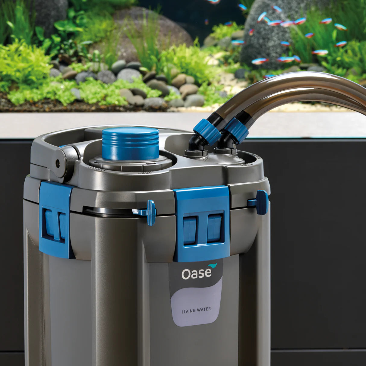 Oase BioMaster 2 Thermo 600 filter for pond filtration system, showing the filter unit with branding and inlet/outlet connections.