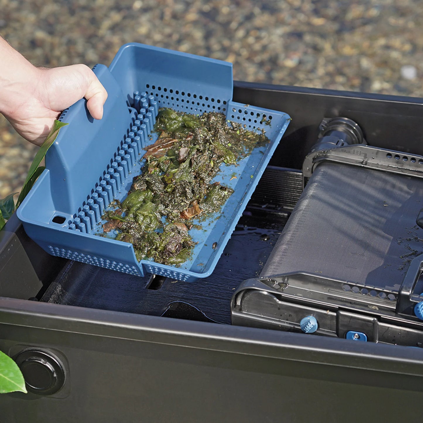 Oase BioTec ScreenMatic 2 gravity flow filter for ponds, shown installed with clear view of filtration components and inlet/outlet.