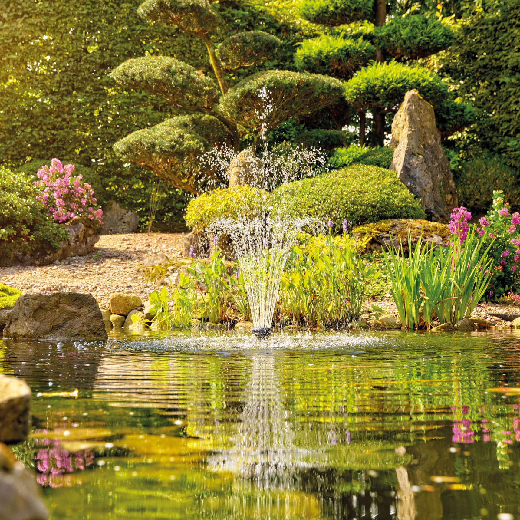 Oase Aquarius Eco Premium 2600 pond pump with compact design and durable build for efficient water circulation in ponds.