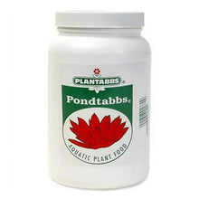 Plantabbs Pondtabbs Aquatic Fertilizer bulk case with 1000 tabs for plant growth, shown in a clear image of the fertilizer packaging.