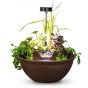 Aquascape AquaGarden Tabletop Fountain Kit in Mocha - With Plants