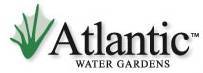 atlantic water gardens