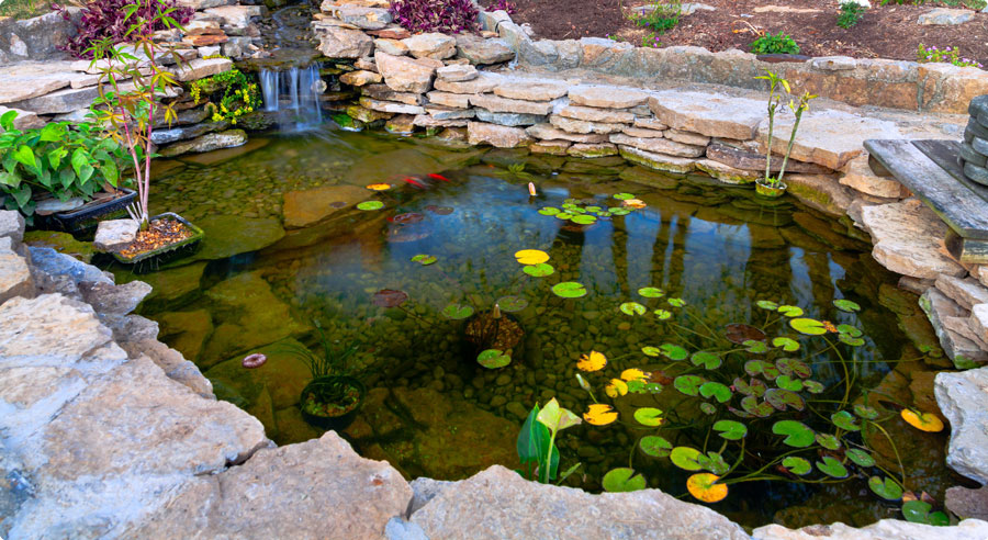 Beautiful Garden Pond